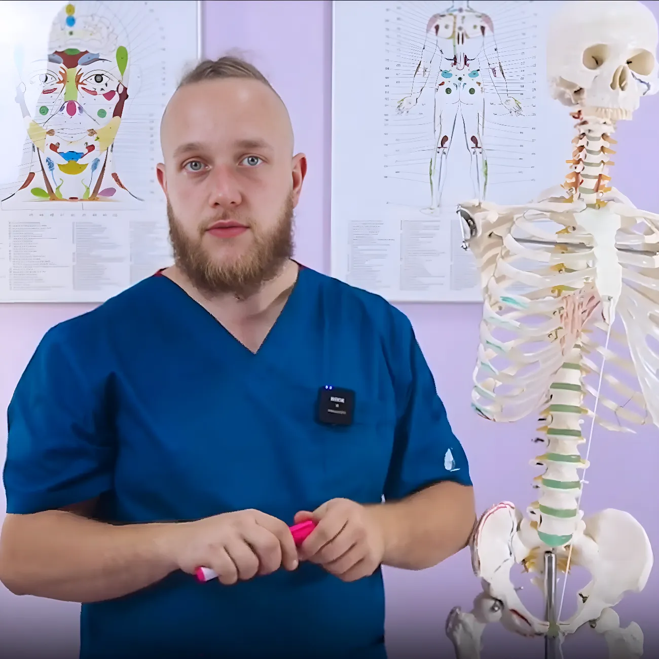 obuchenie anatomii onlajn