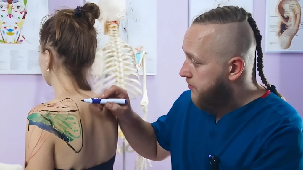 анатомия онлайн обучение