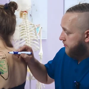 анатомия онлайн обучение