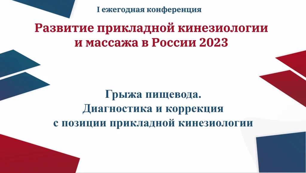 кинезиология видео обучение