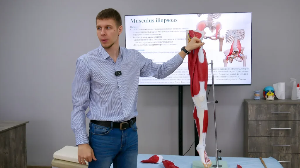 анатомия онлайн обучение