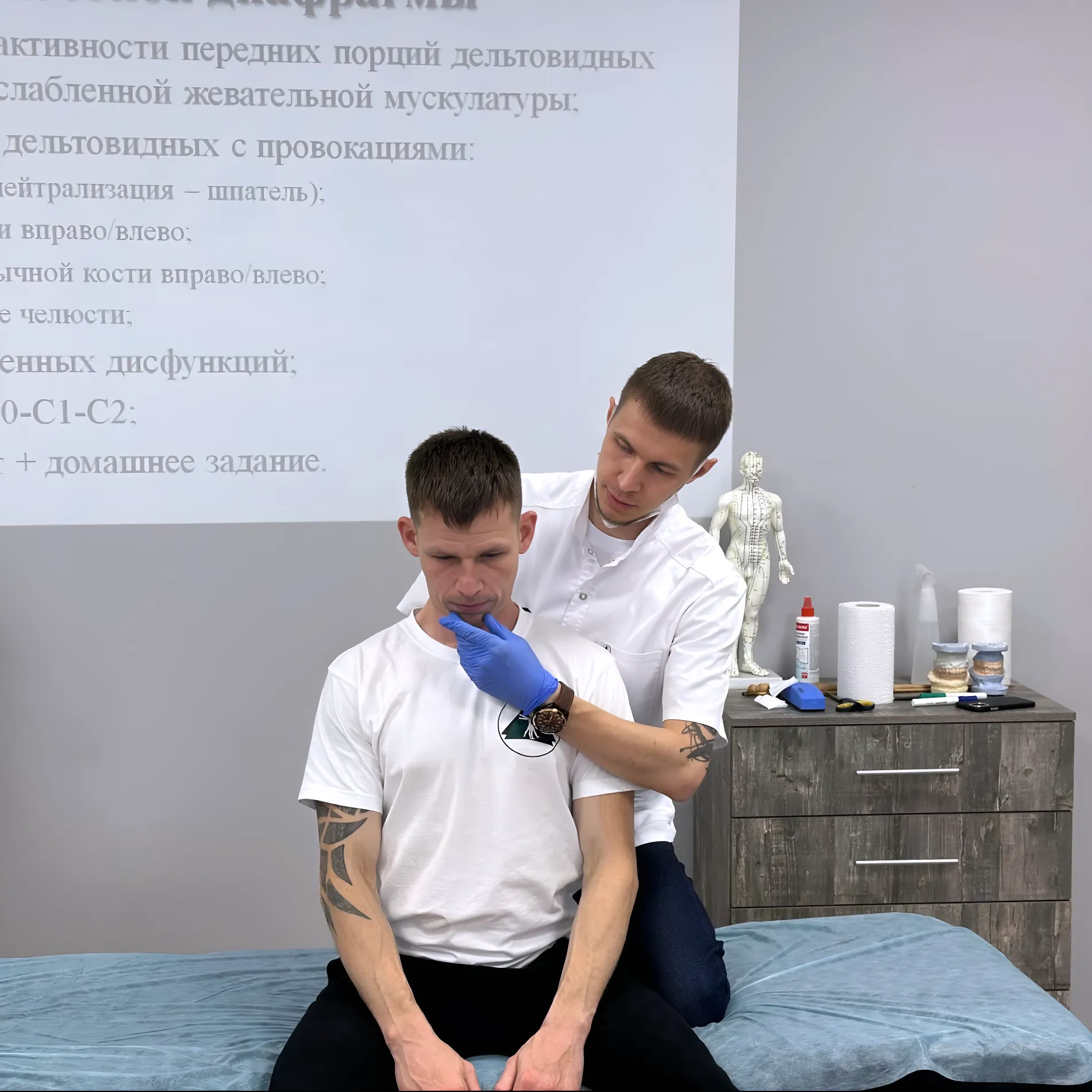 tomas majers miofascialnye cepi