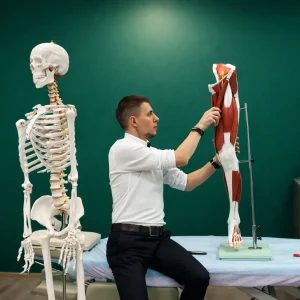 анатомия онлайн обучение